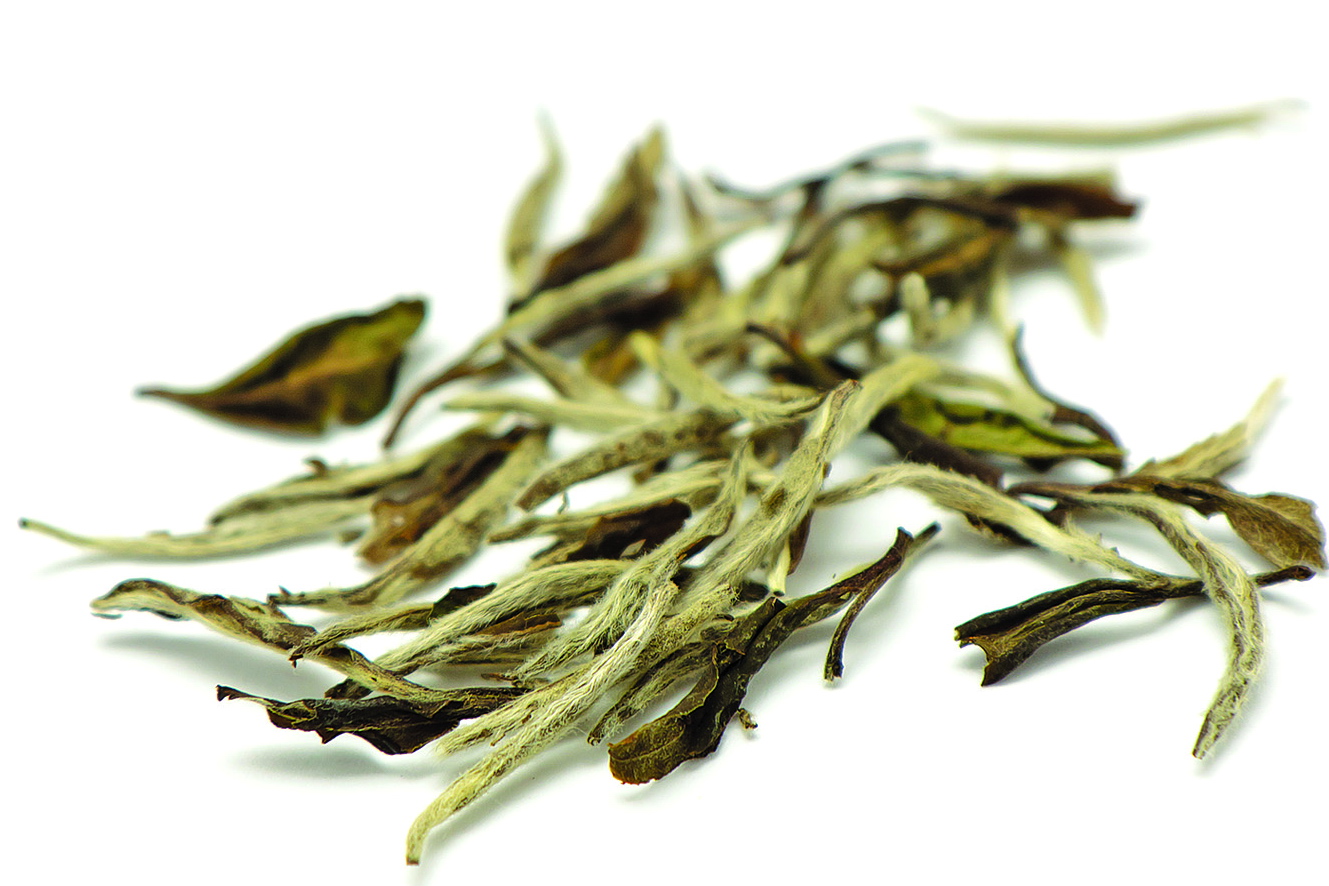 תה לבן באי מודאן